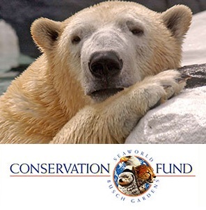 SeaWorld Conservation Fund